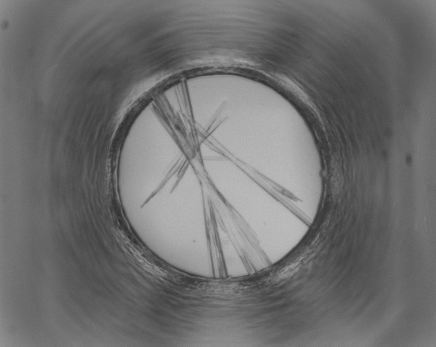 X0000061100831200512161346