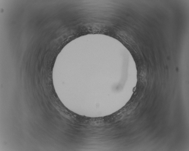 X0000061100865200512161346