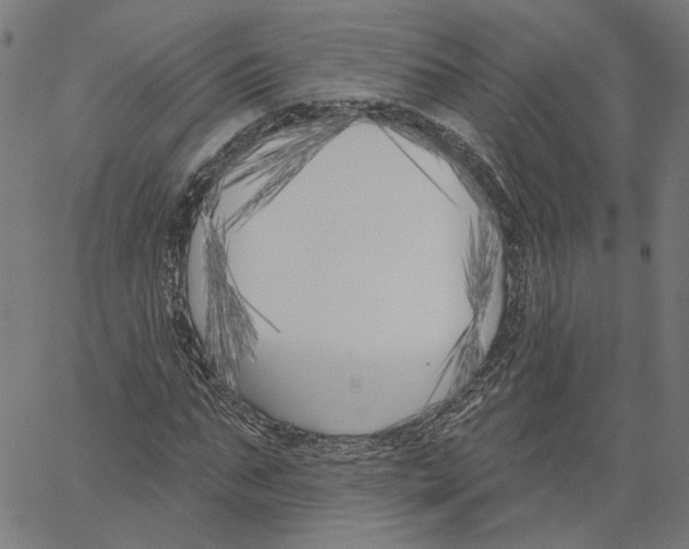 X0000061100871200512161345