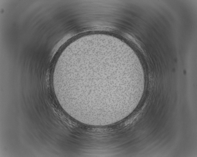 X0000061100875200512161345