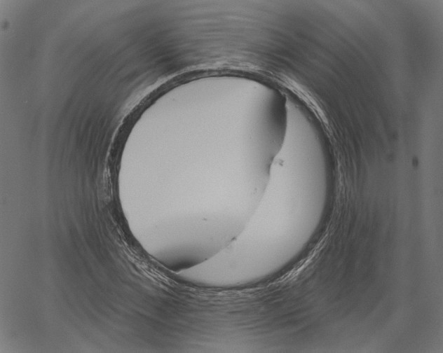 X0000061100876200512161345
