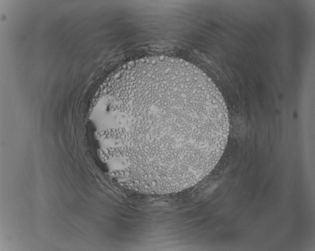X0000061100913200512161344