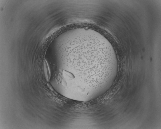 X0000061100919200512161344