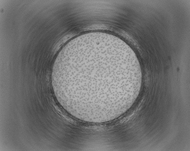 X0000061100937200512161344