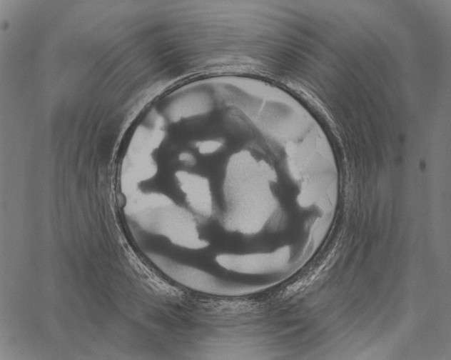 X0000061100941200512161344