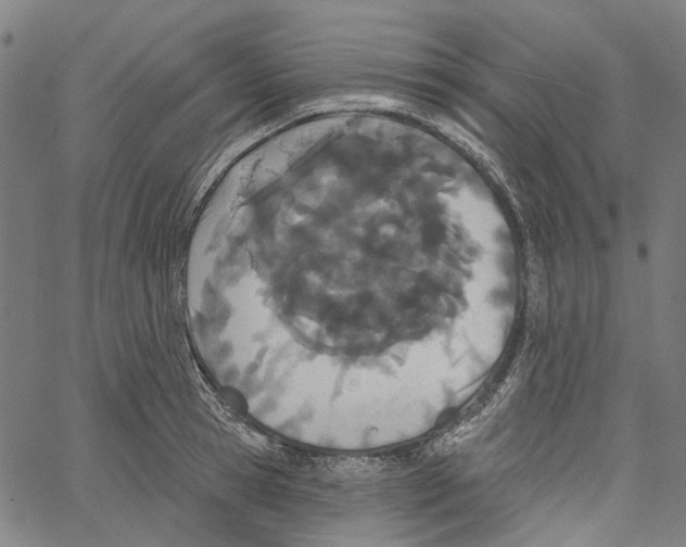 X0000061100945200512161344