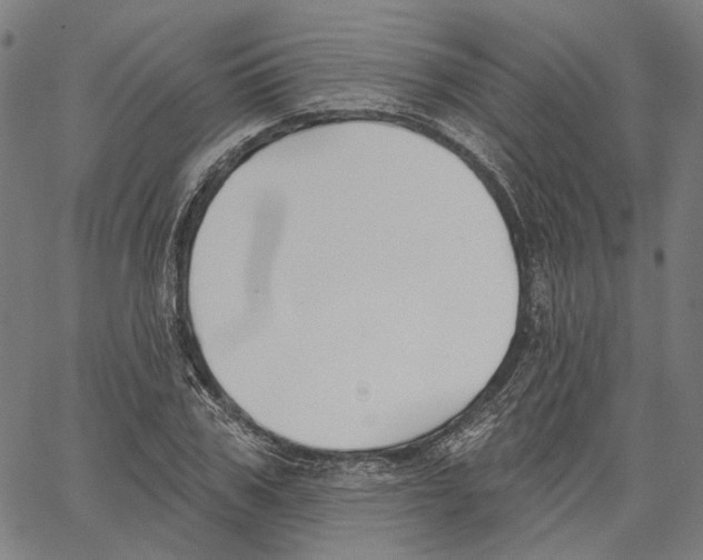 X0000061100979200512161344