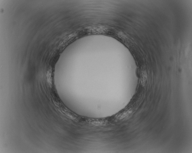 X0000061101010200512161342