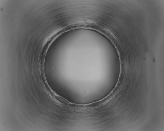 X0000061101018200512161343