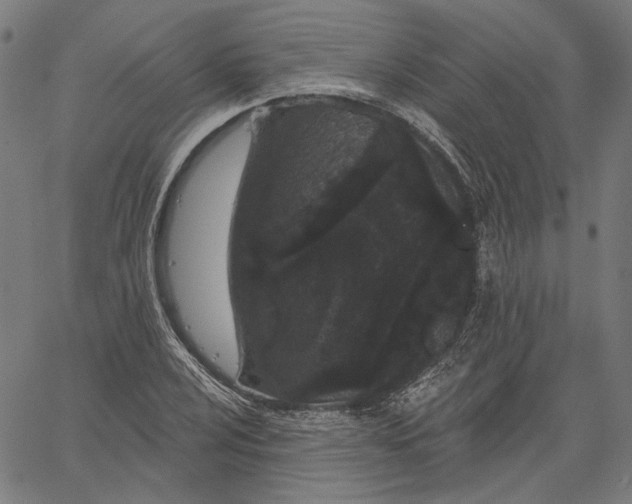 X0000061101024200512161343