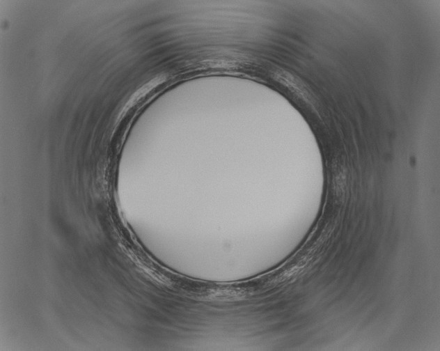 X0000061101026200512161343