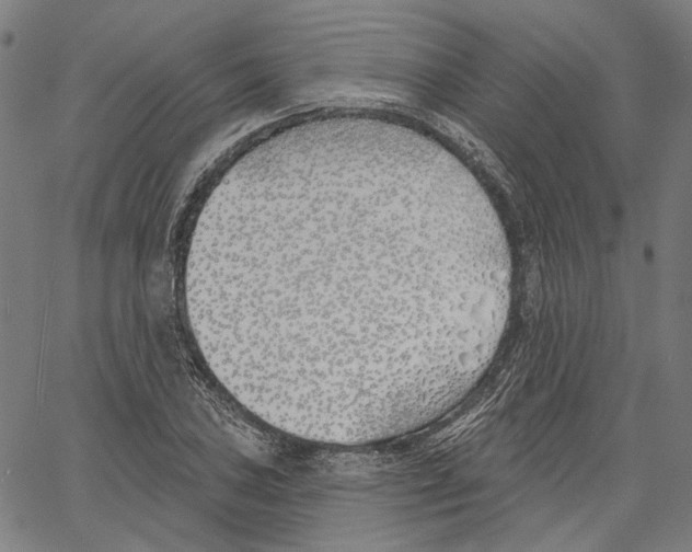 X0000061101027200512161343