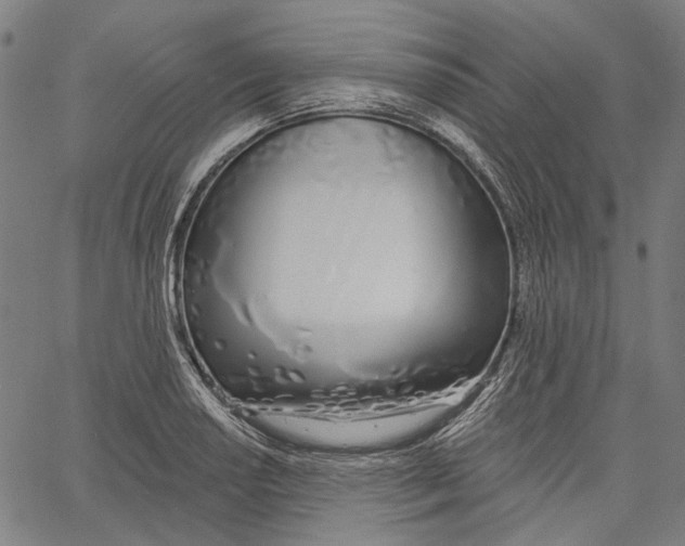 X0000061101034200512161343