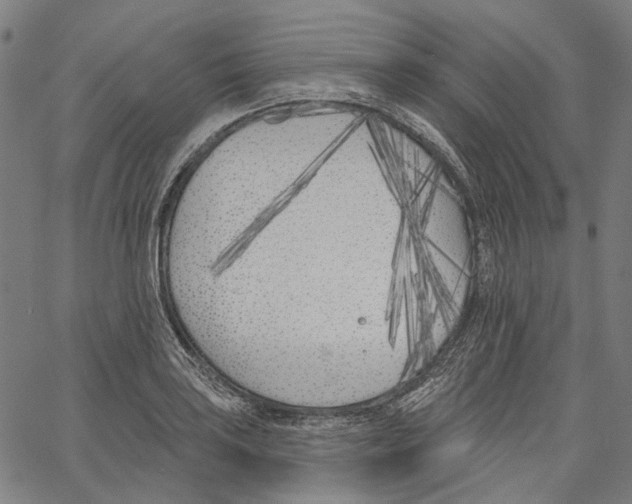 X0000061101035200512161343