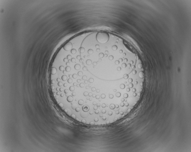 X0000061101044200512161343
