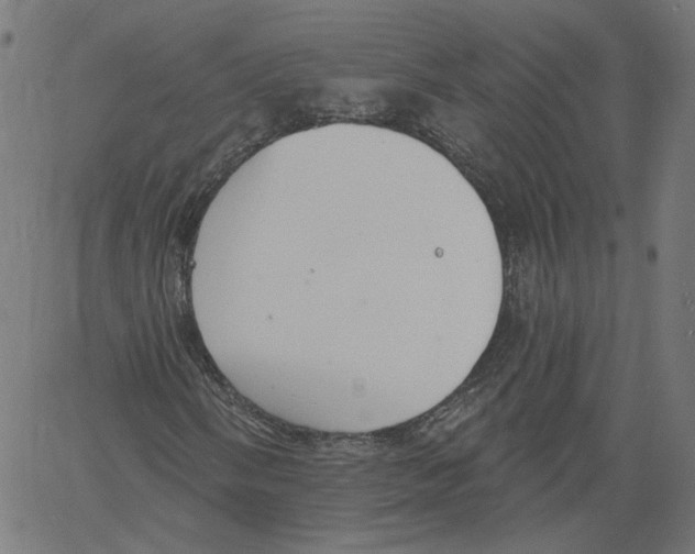 X0000061101058200512161342