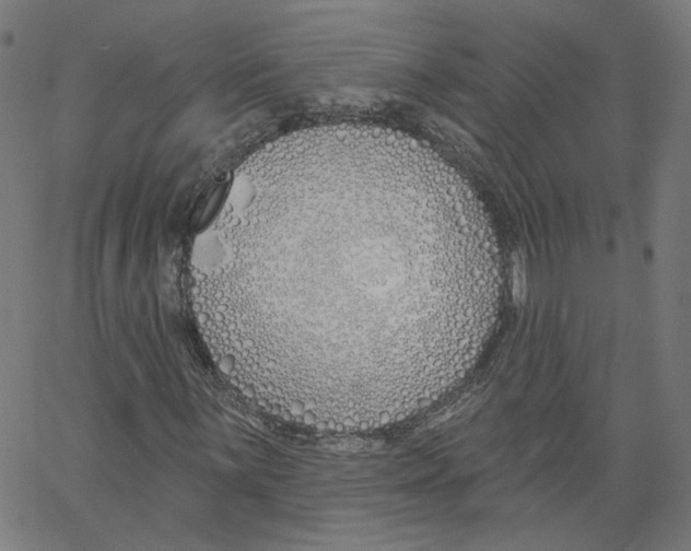 X0000061101059200512161342