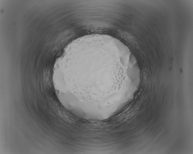 X0000061101060200512161342