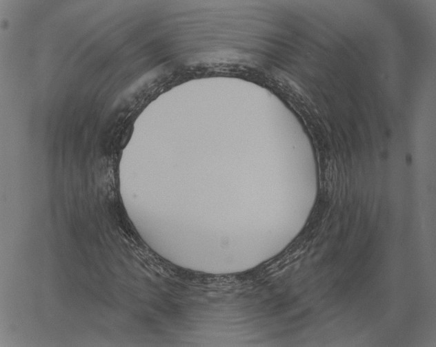 X0000061101062200512161342