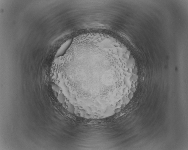X0000061101063200512161342