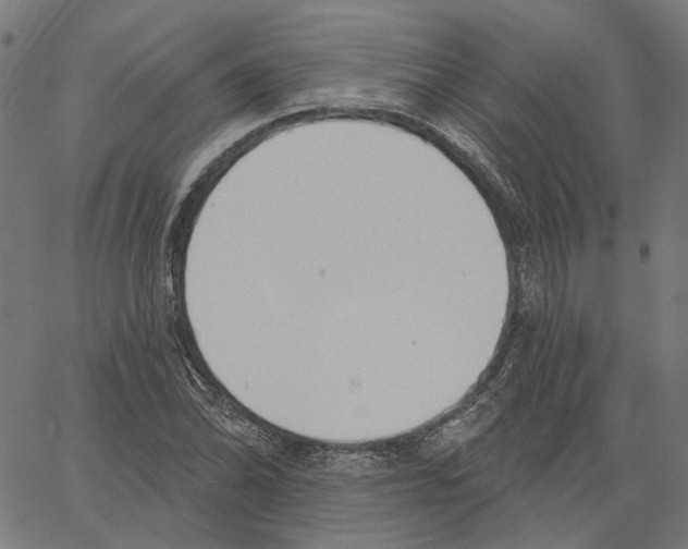 X0000061101070200512161342