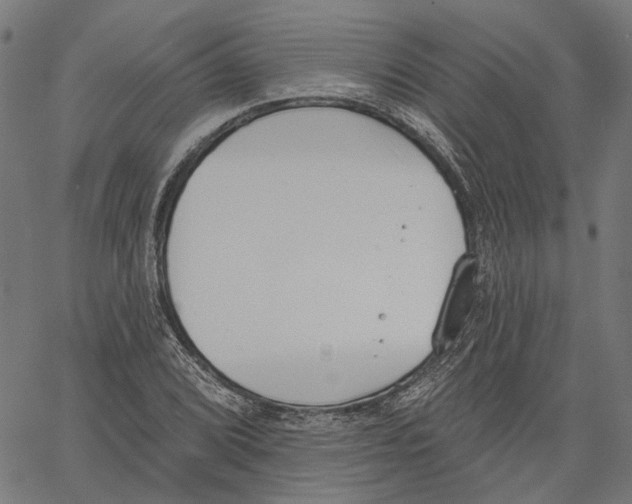 X0000061101072200512161342