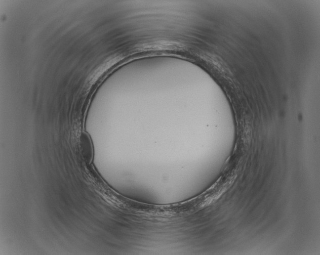 X0000061101073200512161342