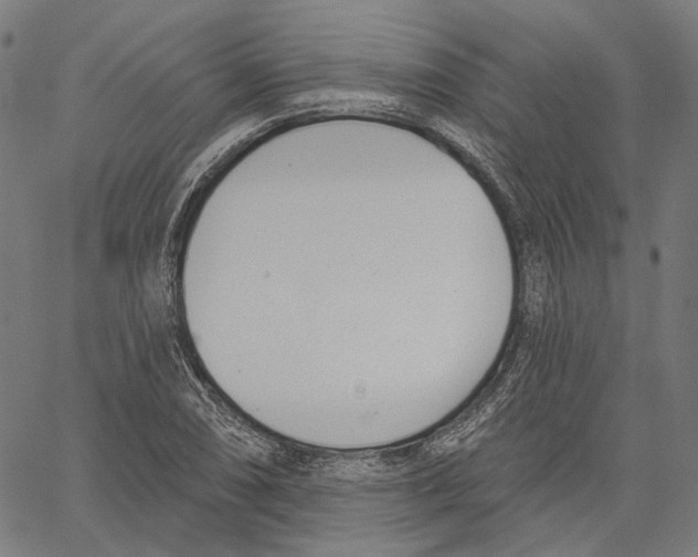 X0000061101074200512161342