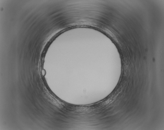 X0000061101076200512161342
