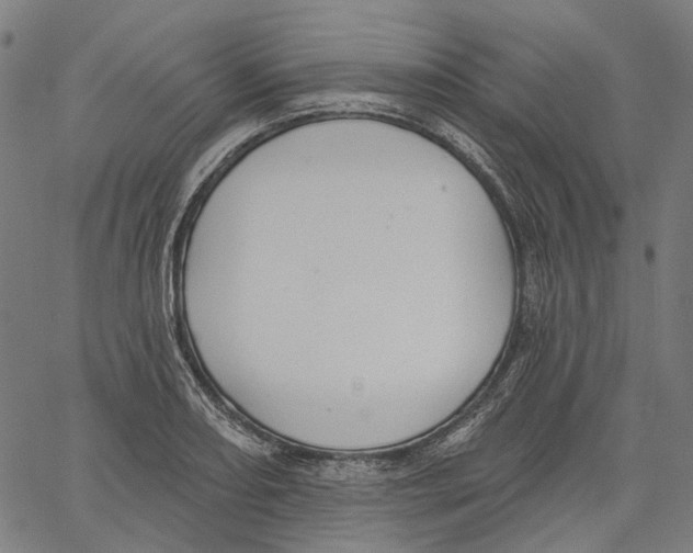X0000061101082200512161342