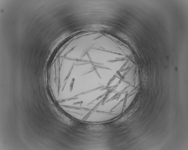 X0000061101083200512161342