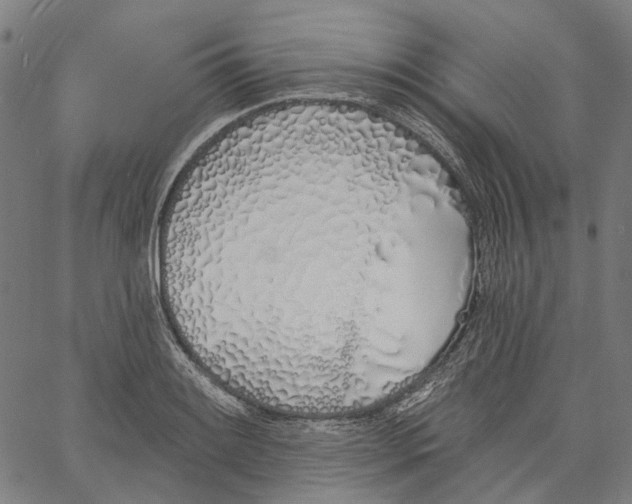 X0000061101084200512161342
