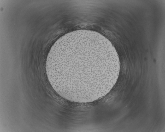 X0000061101105200512161341