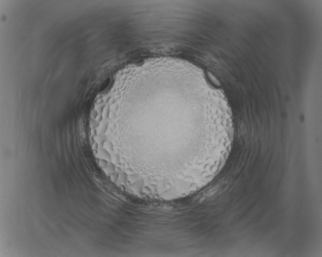 X0000061101106200512161341