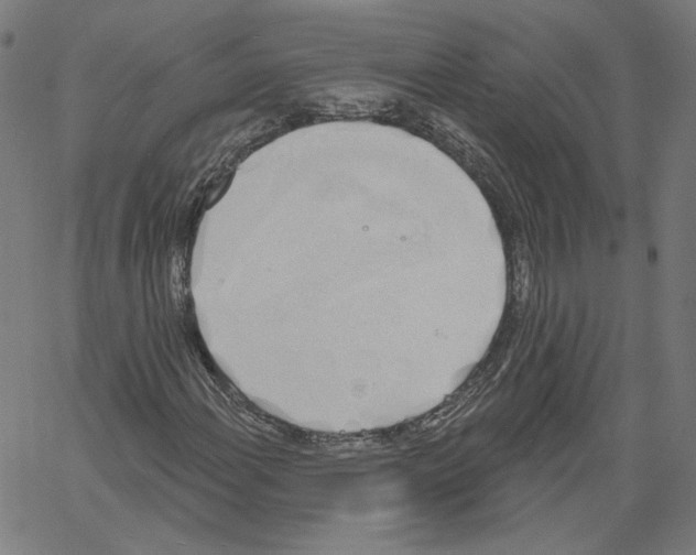 X0000061101108200512161341