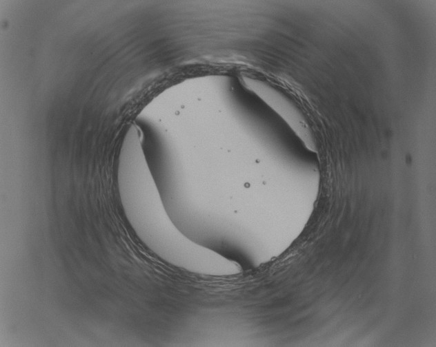 X0000061101110200512161341