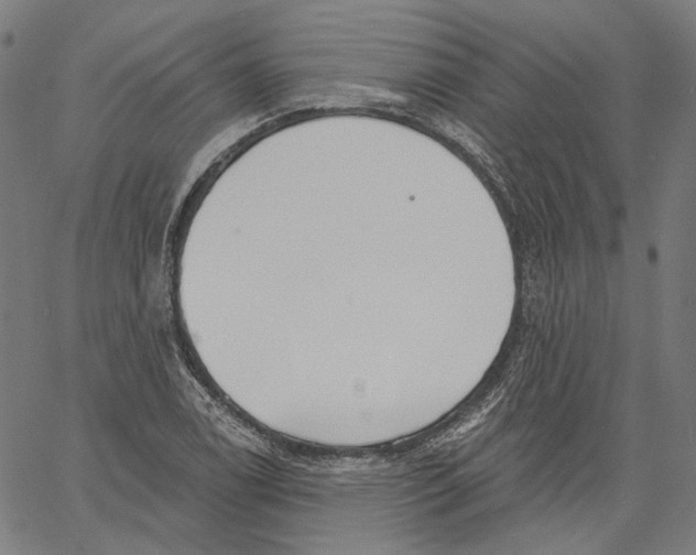 X0000061101122200512161341