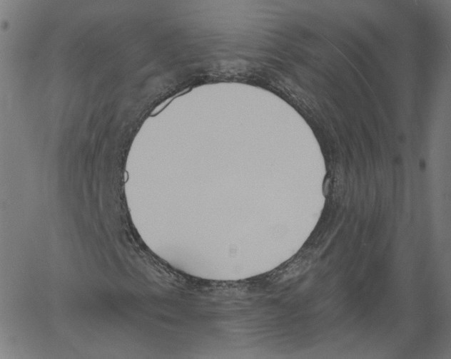 X0000061101153200512161341
