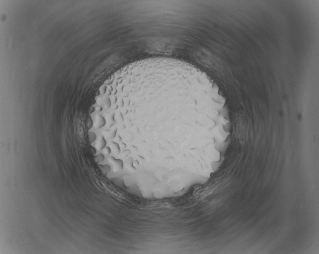 X0000061101154200512161341