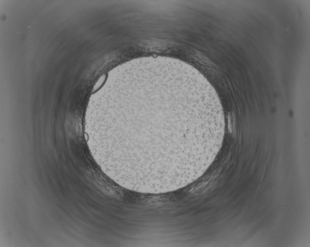 X0000061101155200512161341