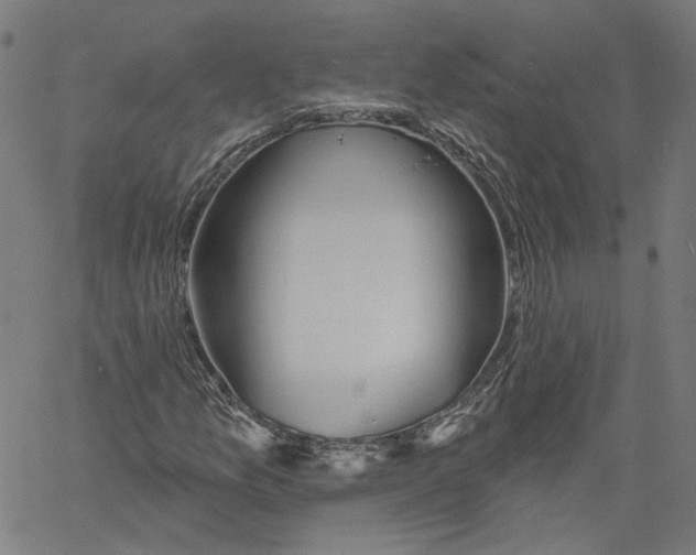 X0000061101157200512161341