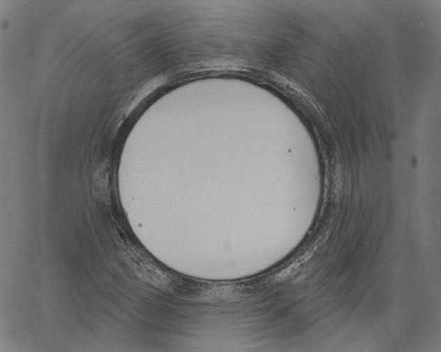 X0000061101162200512161341