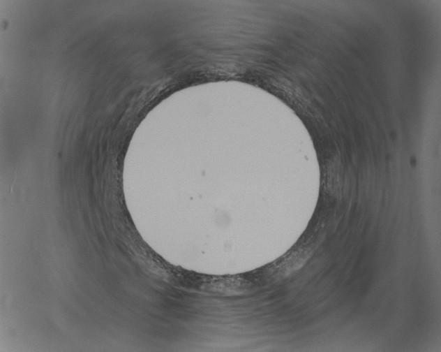 X0000061101201200512161339