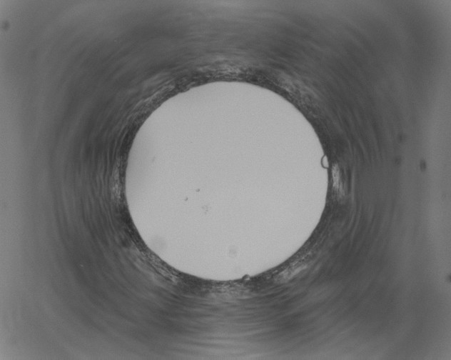 X0000061101203200512161339