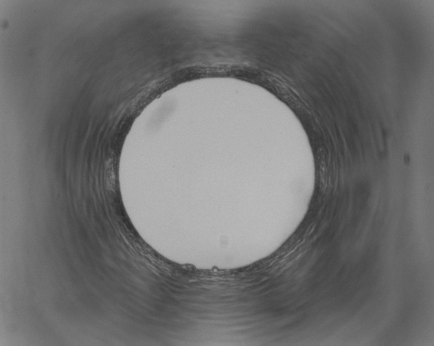 X0000061101204200512161339