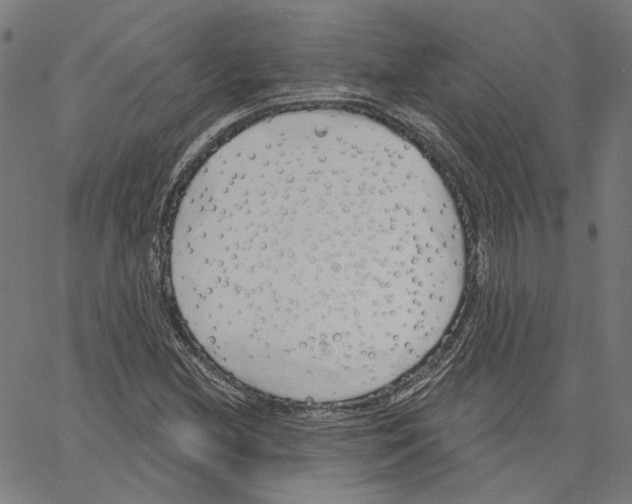 X0000061101212200512161339