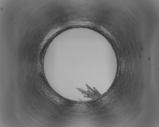 X0000061101215200512161339