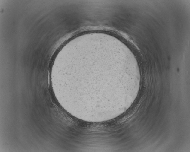X0000061101221200512161340