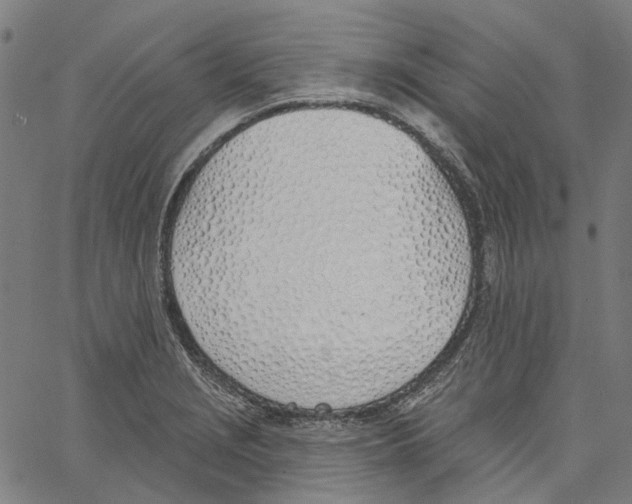 X0000061101229200512161340