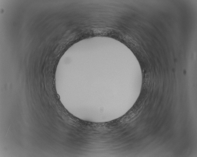 X0000061101249200512161339
